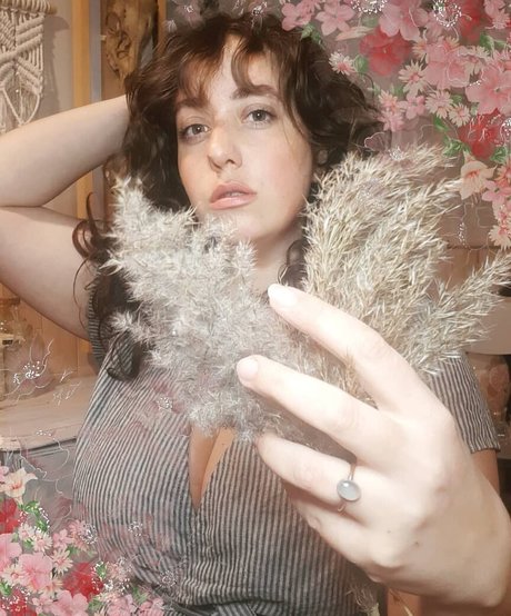 Lartdanstoutessesformes