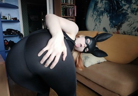 Sweetiefox