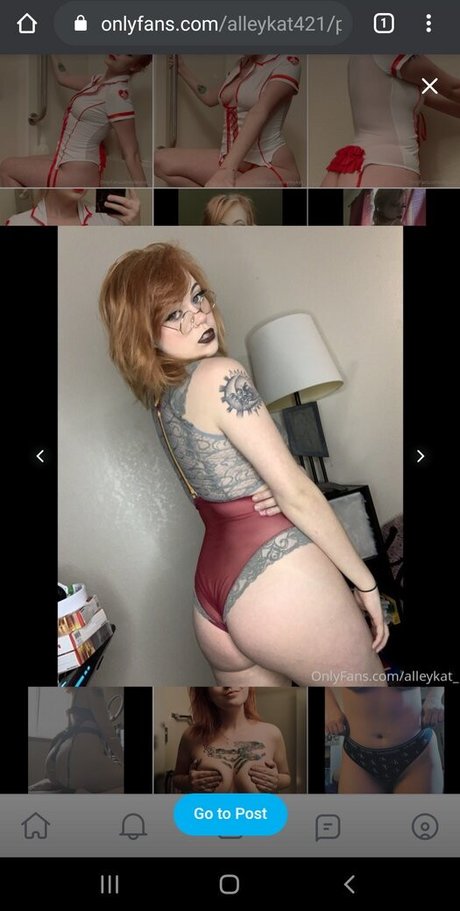 Alleykat421