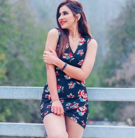 Meetii Kalher