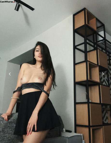 Fancyv