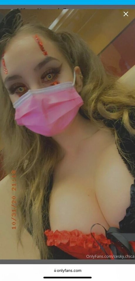 Ceskychica