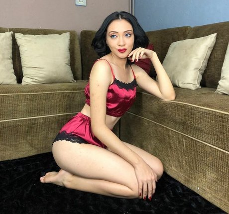Lizsol