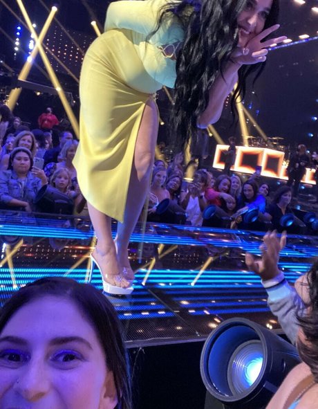 Naakte gelekte OnlyFans-foto van Katy Perry