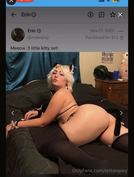 Rottenpixy