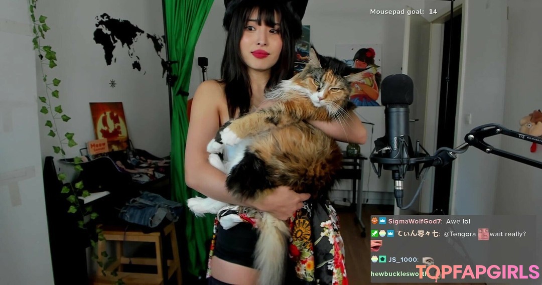 Naakte gelekte OnlyFans-foto van Meowko #1538