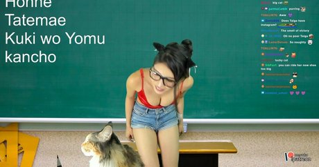 Meowko
