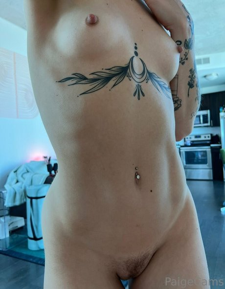 Paigecams