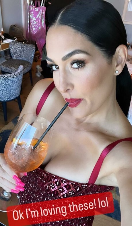 The Bella Twins