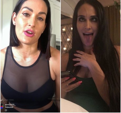 Naakte gelekte OnlyFans-foto van The Bella Twins