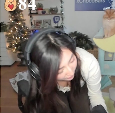 XChocobars