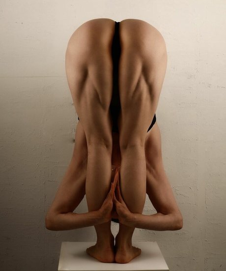 Yuan Herong