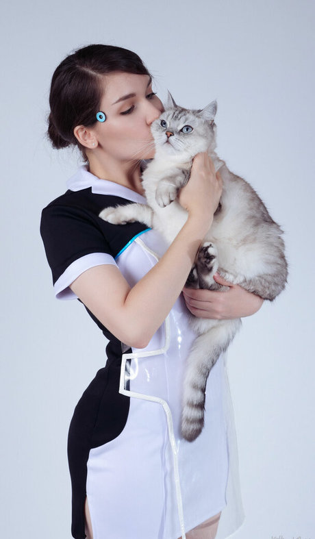 Asmr Kittyklaw