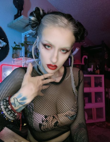 Pokket