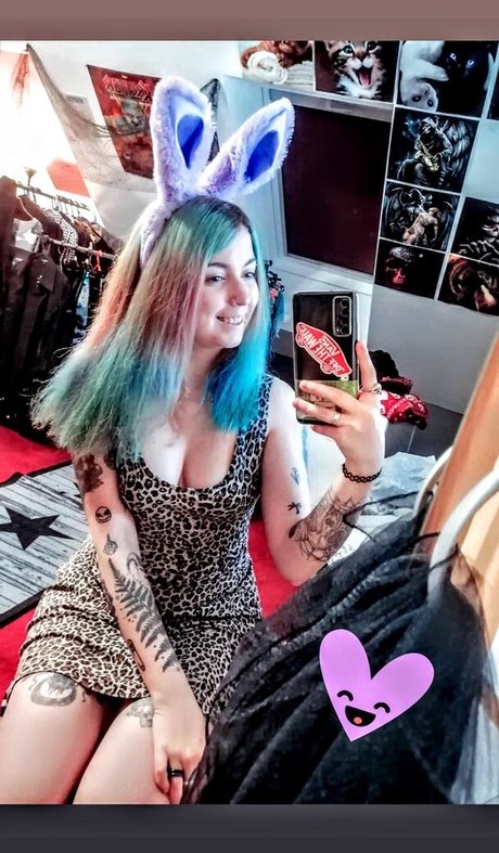 Tolna Megye
