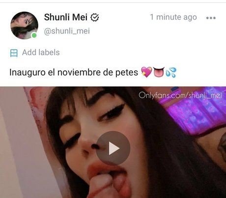 Shunli Mei
