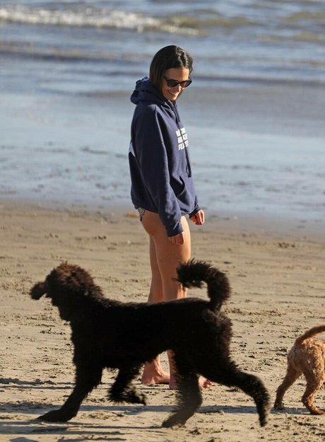 Jordana Brewster