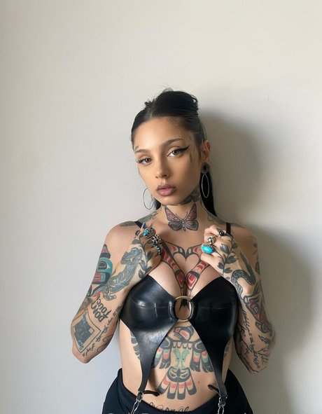 Taylor White