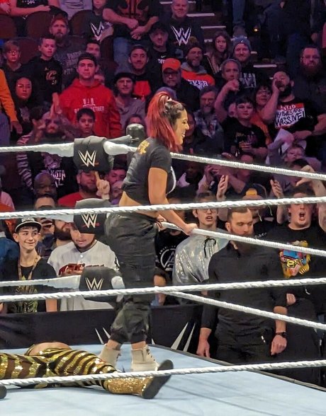 Bayley