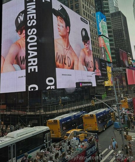 Naakte gelekte OnlyFans-foto van Wildthingsvip