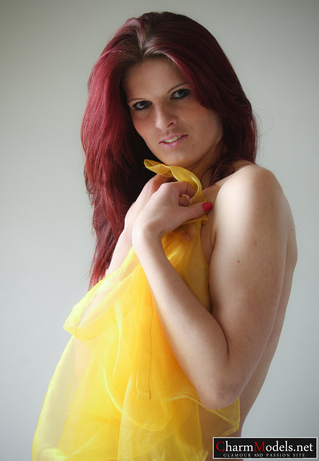 Charmmodels
