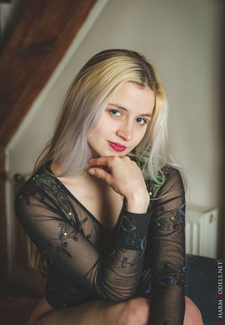 Charmmodels