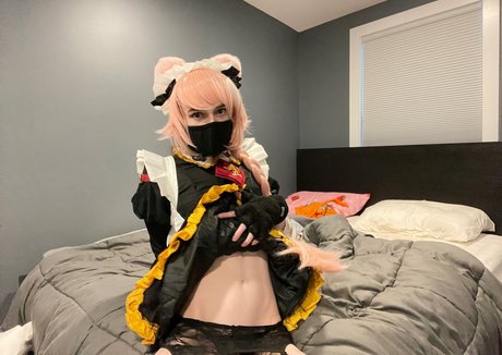Catboiaoi