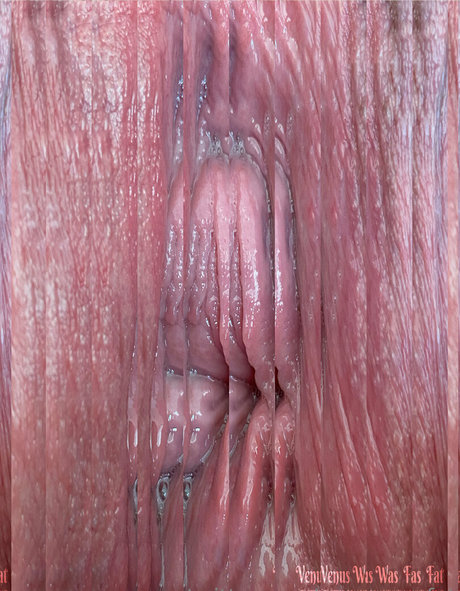 Xxlbbw