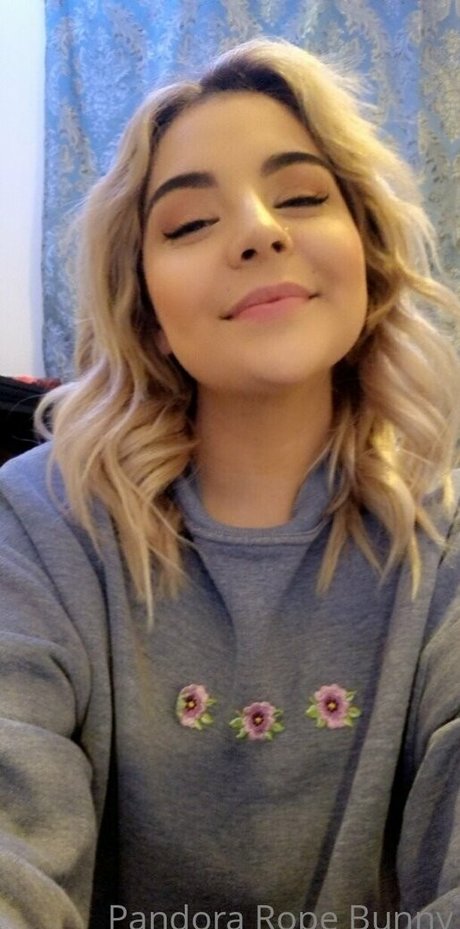 Pandorabunny