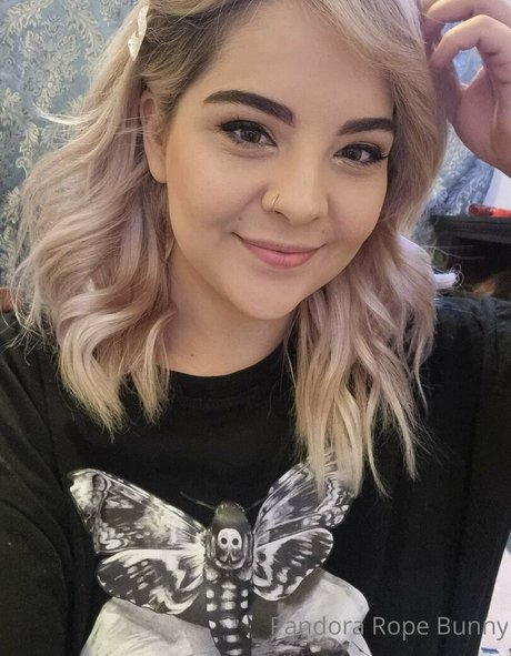 Pandorabunny