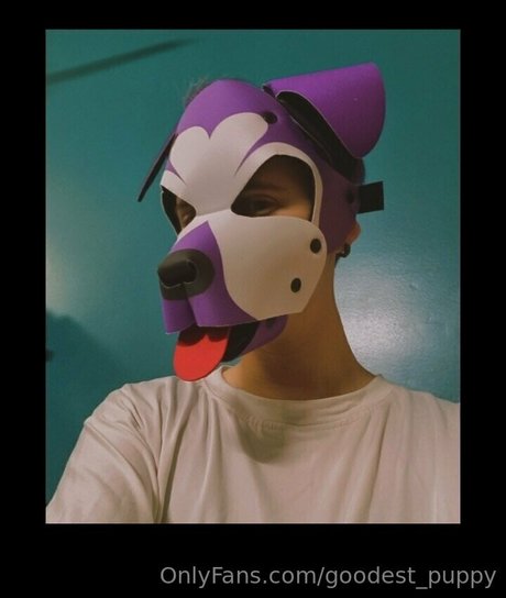 Goodest_puppy