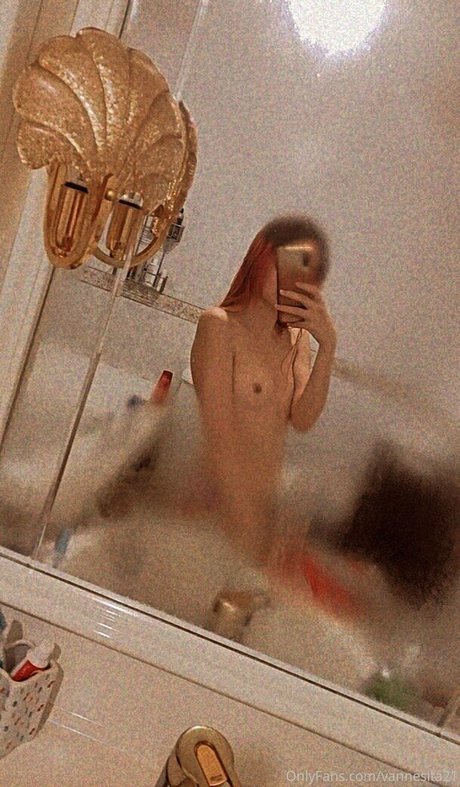 Vannesita21