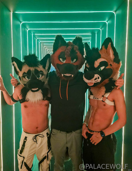 Naakte gelekte OnlyFans-foto van Palacewolf