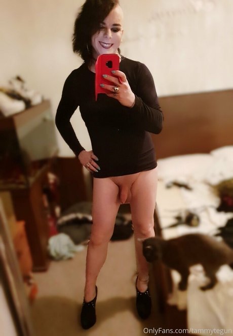 Tammytegun