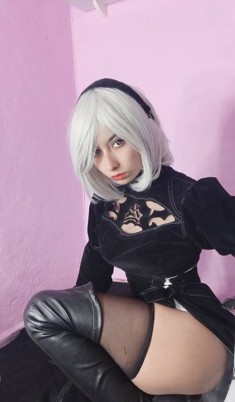 Lilywaifu