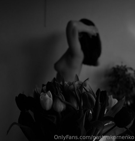 The_cherry_on_the_cake