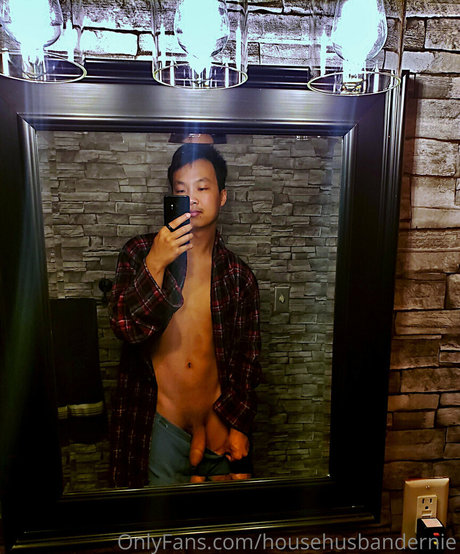 Naakte gelekte OnlyFans-foto van Househusbandernie