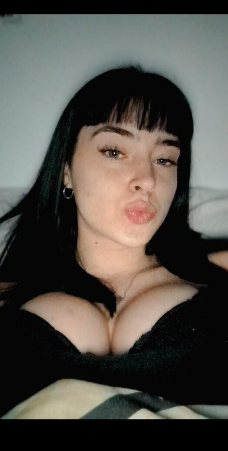Camibarressi