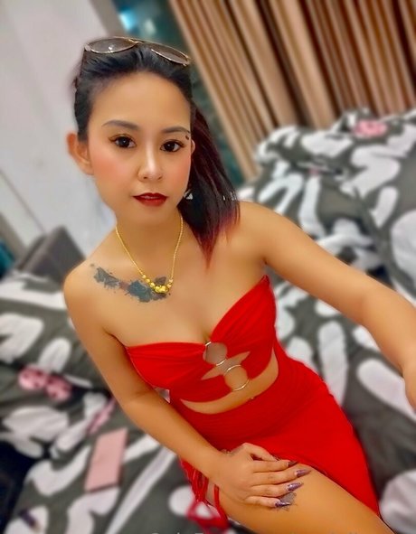 Terriallyours