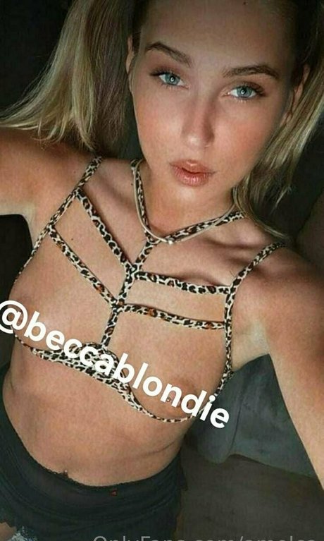 Amelca
