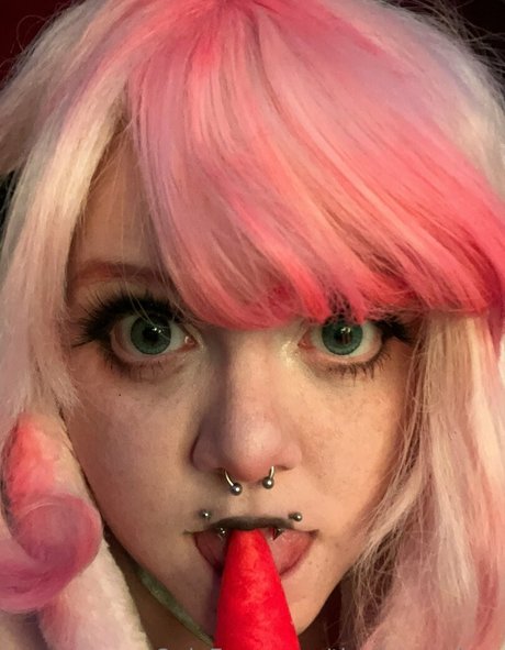 Thebunnybee