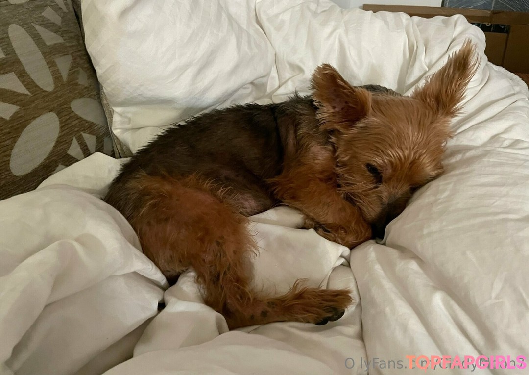 Naakte gelekte OnlyFans-foto van Cindymoon7 #1021