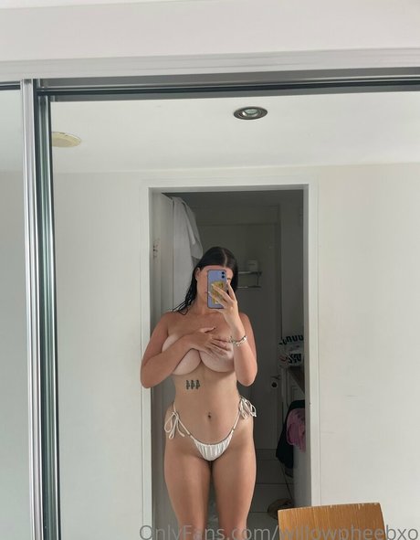 Phoebewillow