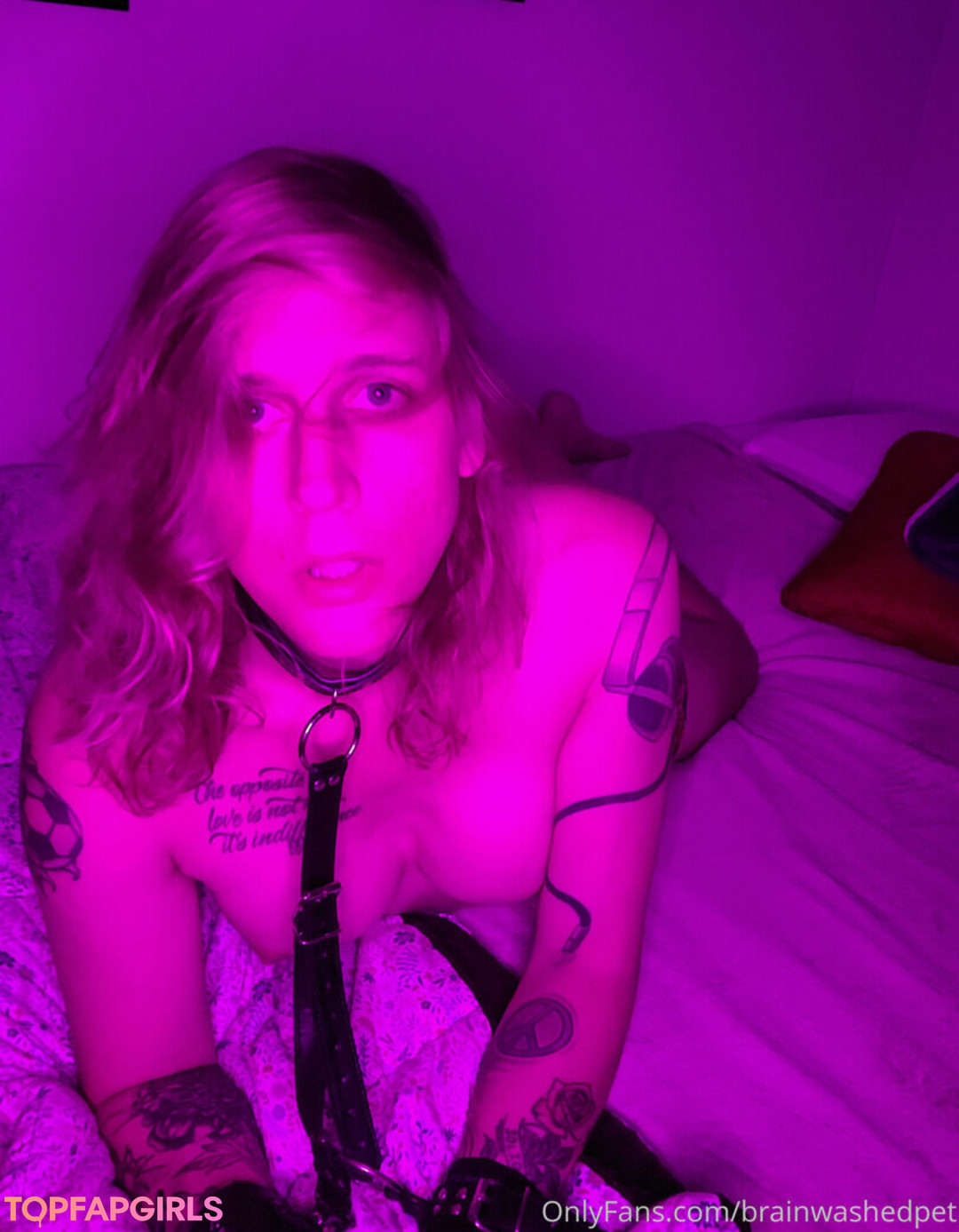Naakte gelekte OnlyFans-foto van Brainwashedpet #19 Naakte gelekte OnlyFans-foto van Brainwashedpet #19