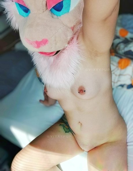 Vixxypup