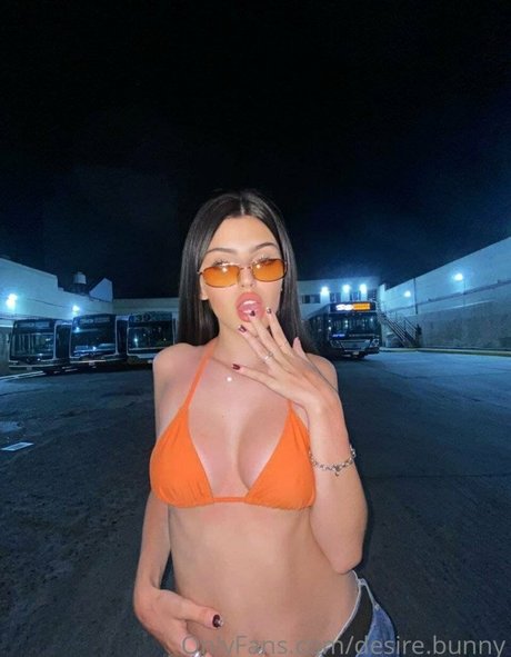 Desiree Bunny