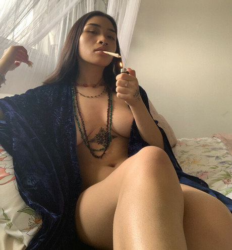 Venusmatrix