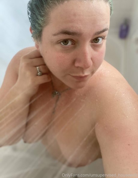 Unsupervised_housewife