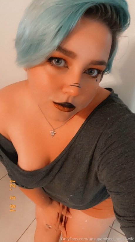 Unsupervisedhousewife