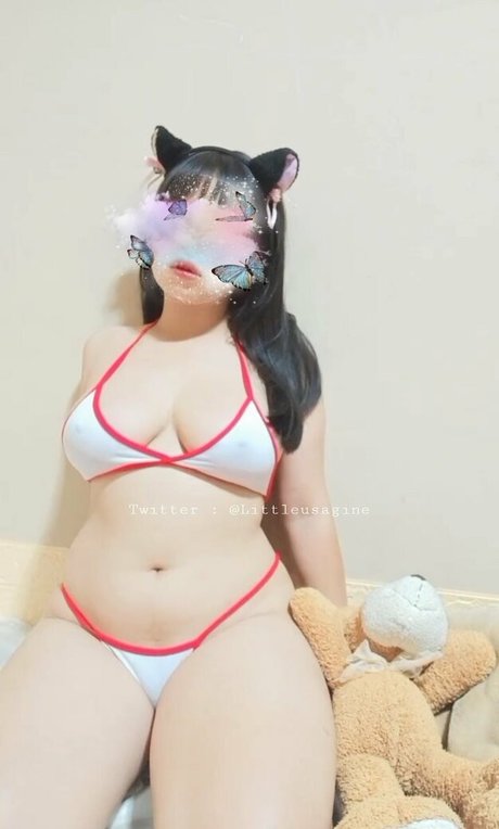 Littleusagine